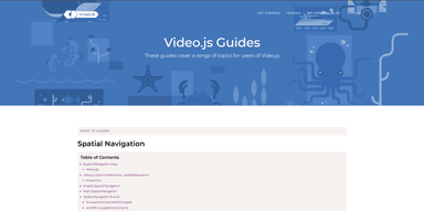 Spatial Navigation